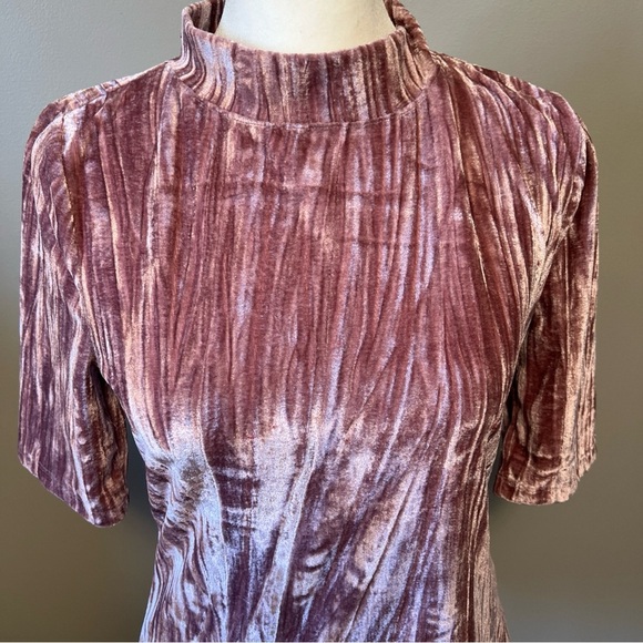 Pilcro Anthropologie Pink Crushed Velvet Velveteen Mock Neck Top Size Small - Picture 3 of 11